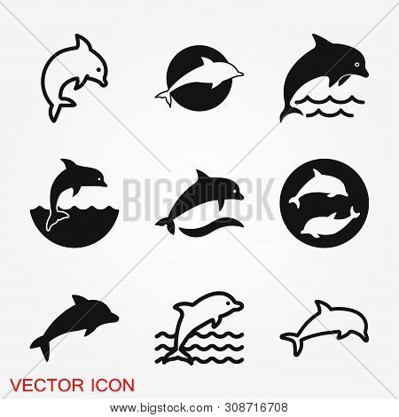 Dolphin Icon, Aquatic Mammal Vector Icon For Animal Apps And Websites