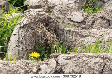 The Top Layer Of The Soil By The Plough, Raised Land