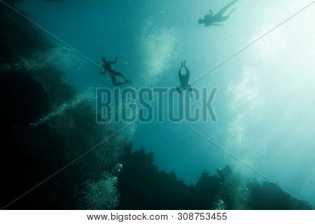 Underwater view of snorkelers in a water
