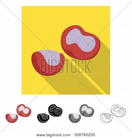 Vector Illustration Of Chicken And Navels Logo. Collection Of Chicken And Farm Vector Icon For Stock