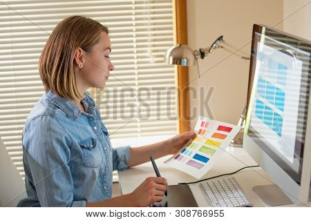 Artist Creative Designer.web Development.work With Color.flane Illustrator Graphic Skill Concept
