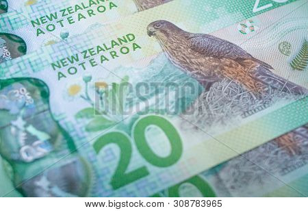 Closeup Of New Zealand Banknote 20$ Dollars. The Money Currency Of New Zealand.