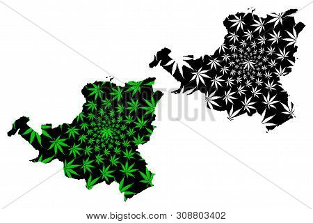 Schwyz (cantons Of Switzerland, Swiss Cantons, Swiss Confederation) Map Is Designed Cannabis Leaf Gr