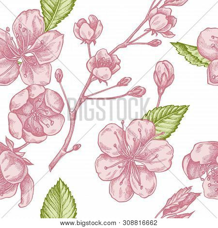 Seamless Pattern With Hand Drawn Pastel Sakura Stock Illustration