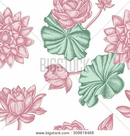 Seamless Pattern With Hand Drawn Pastel Lotus Stock Illustration
