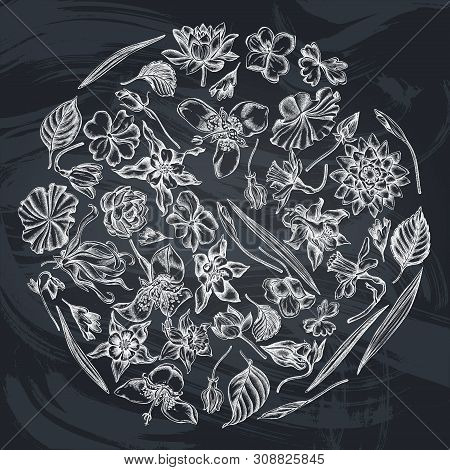 Round Floral Design With Chalk Ylang-ylang, Impatiens, Daffodil, Tigridia, Lotus, Aquilegia Stock Il