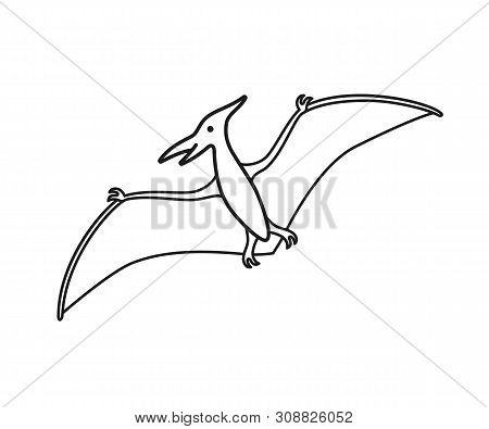Pterodactyl Vector Contour Silhouette. Pteranodon Dinosaur. Pterosaur Black Contour Isolated On Whit