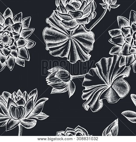 Seamless Pattern With Hand Drawn Chalk Lotus Stock Illustration