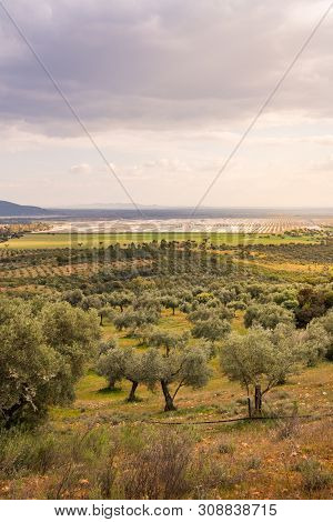 Views Of Solaben, The Logrosan Thermosolar Plant Currently Managed By The Company Atlantica Yield, S