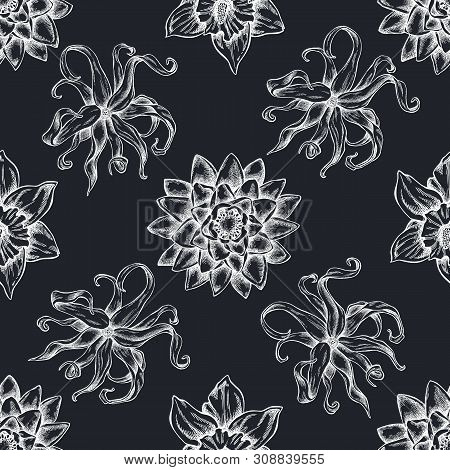 Seamless Pattern With Hand Drawn Chalk Ylang-ylang, Daffodil, Lotus Stock Illustration