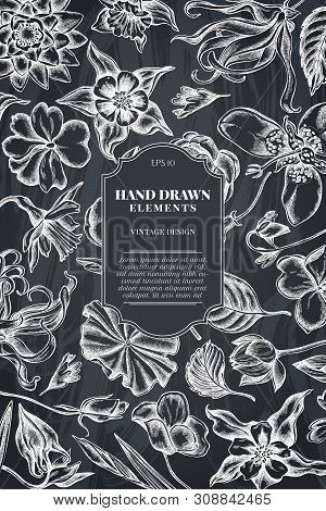 Card Design With Chalk Ylang-ylang, Impatiens, Daffodil, Tigridia, Lotus, Aquilegia Stock Illustrati