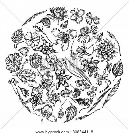 Round Floral Design With Black And White Ylang-ylang, Impatiens, Daffodil, Tigridia, Lotus, Aquilegi