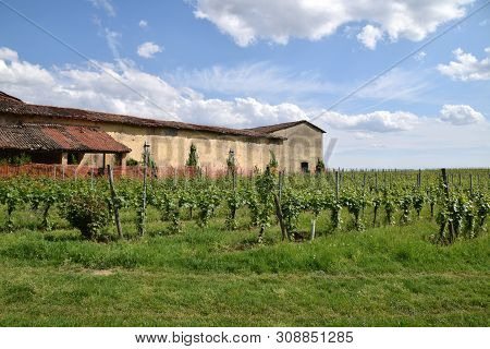 An Ancient Wine Farm With Its Vineyard - Franciacorta - Italy