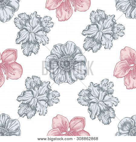 Seamless Pattern With Hand Drawn Pastel Anemone, Iris Japonica, Sakura Stock Illustration