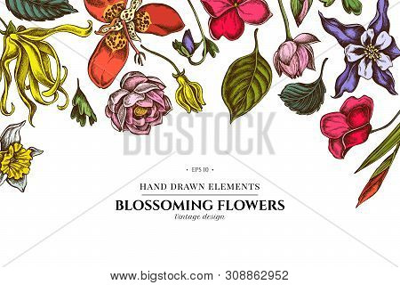 Floral Design With Colored Ylang-ylang, Impatiens, Daffodil, Tigridia, Lotus, Aquilegia Stock Illust