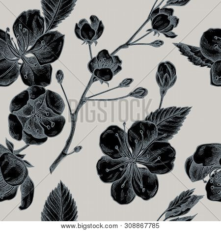 Seamless Pattern With Hand Drawn Stylized Sakura Stock Illustration