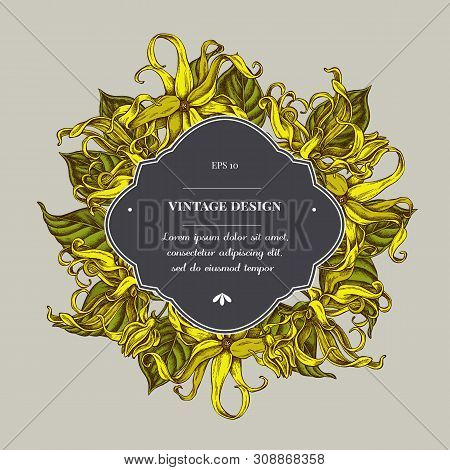 Badge Over Design With Ylang-ylang Stock Illustration