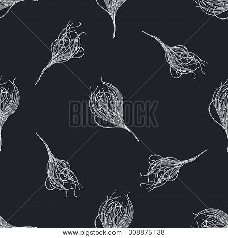 Seamless Pattern With Hand Drawn Chalk Feather Grass Stock Illustration