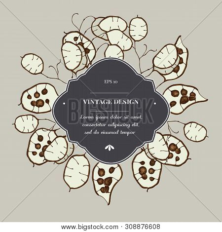 Badge Over Design With Lunaria Stock Illustration