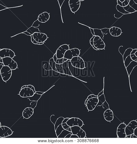 Seamless Pattern With Hand Drawn Chalk Lunaria Stock Illustration
