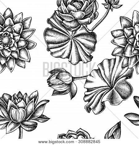 Seamless Pattern With Black And White Lotus Stock Illustration