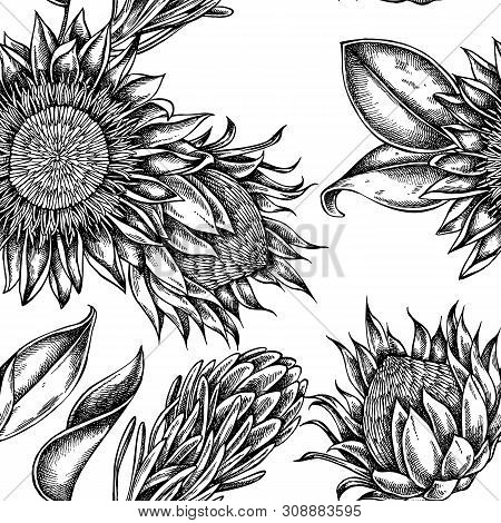 Seamless Pattern With Black And White King Protea Stock Illustration