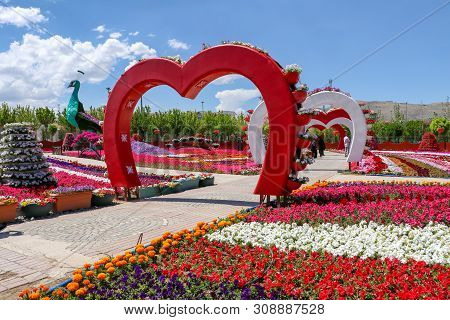 Konya / Turkey, June 7, 2019, Konya Selcuklu Flower Park (cicek Park)