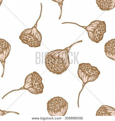 Seamless Pattern With Hand Drawn Pastel Lotus Stock Illustration