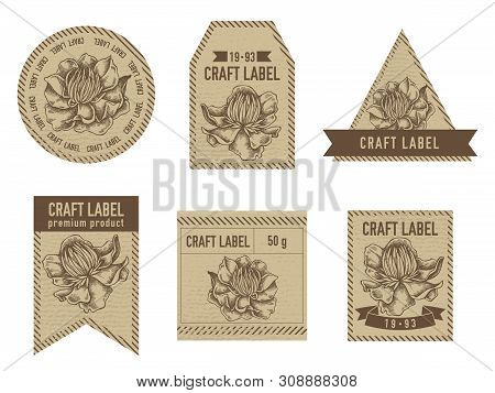 Craft Labels With Globeflower Stock Illustration Drawing