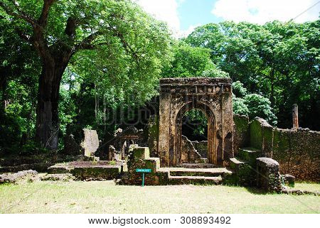 View Of The Gedi Ruins, Close To Mombasa, Kenya