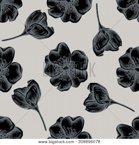 Seamless Pattern With Hand Drawn Stylized Dog Rose Stock Illustration