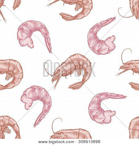 Seamless Pattern With Hand Drawn Pastel Shrimp Stock Illustration