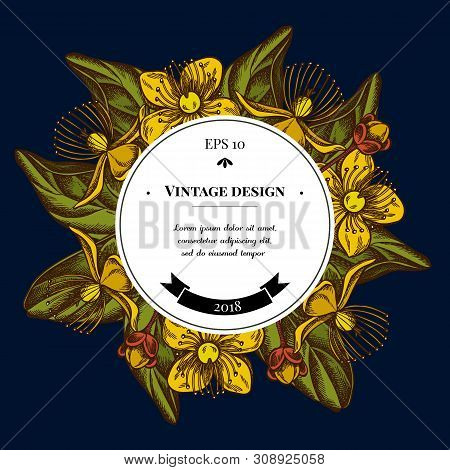 Badge Over Design With Hypericum Stock Illustration