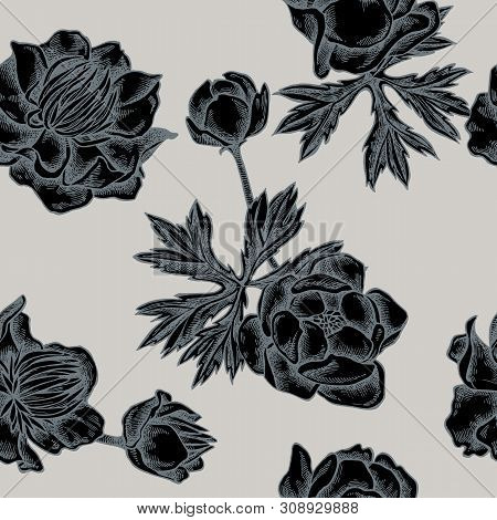 Seamless Pattern With Hand Drawn Stylized Globeflower Stock Illustration