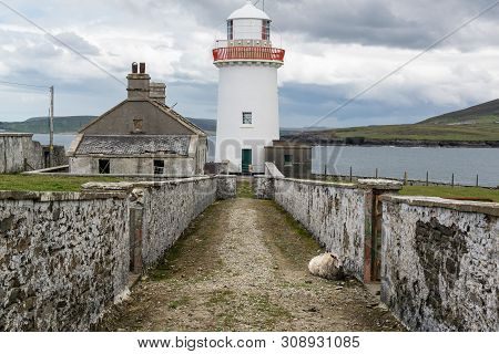 Ballyglass Lighthouse
On The East Coast Of County Mayo, Ireland. A Lone Sheep Is Resting On The Road