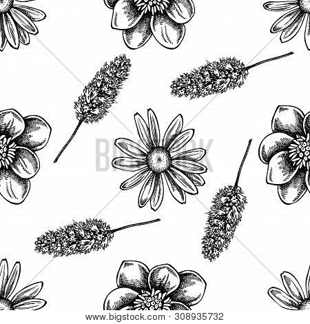 Seamless Pattern With Black And White Celandine, Chamomile, Peppermint Stock Illustration