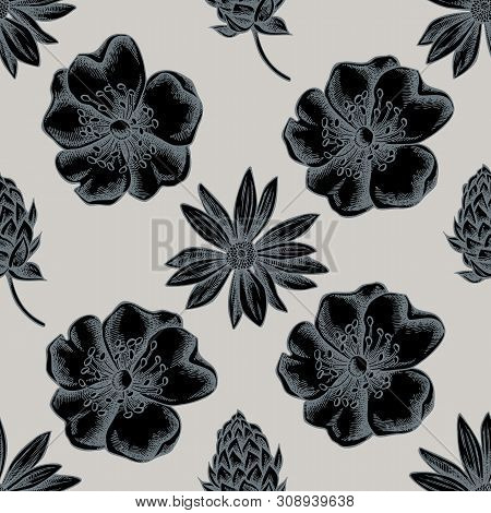 Seamless Pattern With Hand Drawn Stylized Dog Rose, Hop, Jerusalem Artichoke Stock Illustration