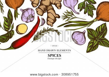 Floral Design With Colored Onion, Garlic, Pepper, Greenery, Ginger, Basil Rosemary Stock Illustratio