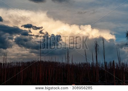 Stormclouds Building Up Over Lake Yellowstone, Just After Sunset.