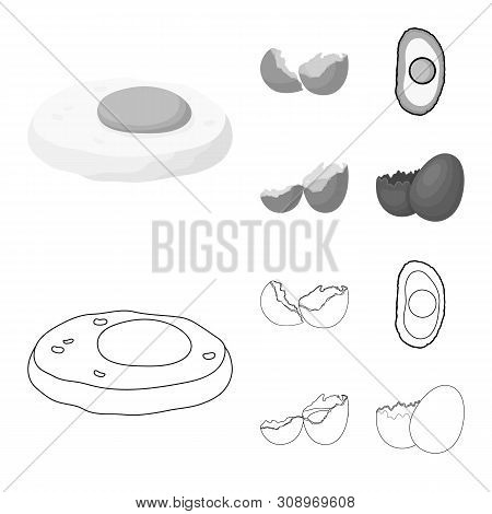 Vector Illustration Of Elephant And Asian Sign. Collection Of Elephant And Elephant Vector Icon For 