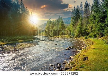 Mountain River Winding Through Forest At Sunset In Evenig. Beautiful Nature Scenery In Autumn. Spruc