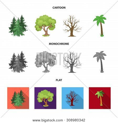 Vector Design Of Tree And Forest Icon. Set Of Tree And Green Vector Icon For Stock.