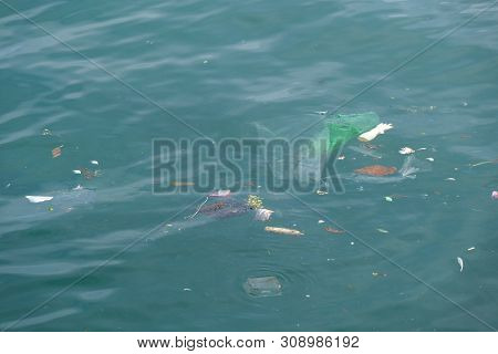 Trash, Plastic, Garbage, Bottle... Environmental Pollution On The Beach. Royalty High-quality Free S