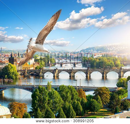 Row Of Bridges In Prague At Summer Day