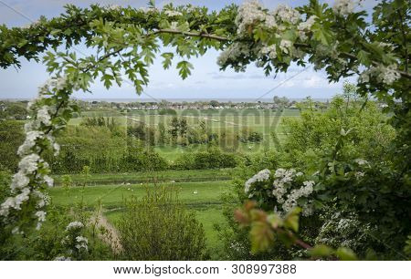 Winchelsea Countryside And The Sea Framed By A Hawthorn Branch With May Blossom In Full Bloom