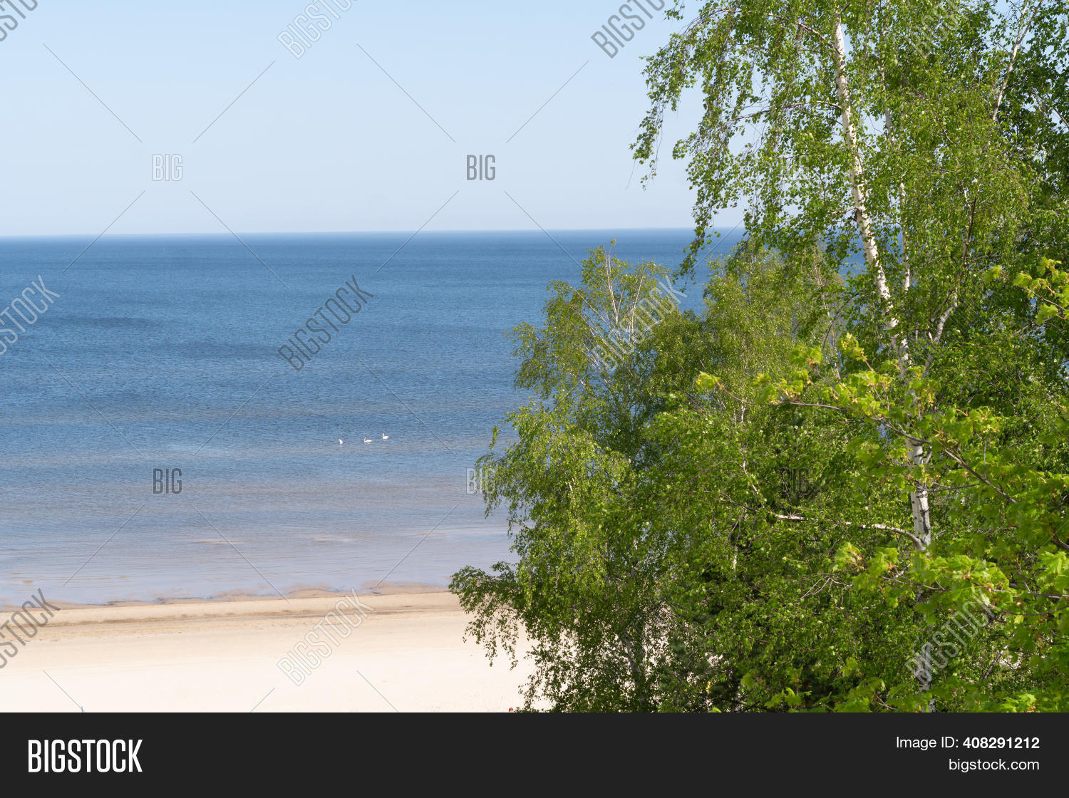 Drone View Sea Trees Image & Photo (Free Trial) | Bigstock