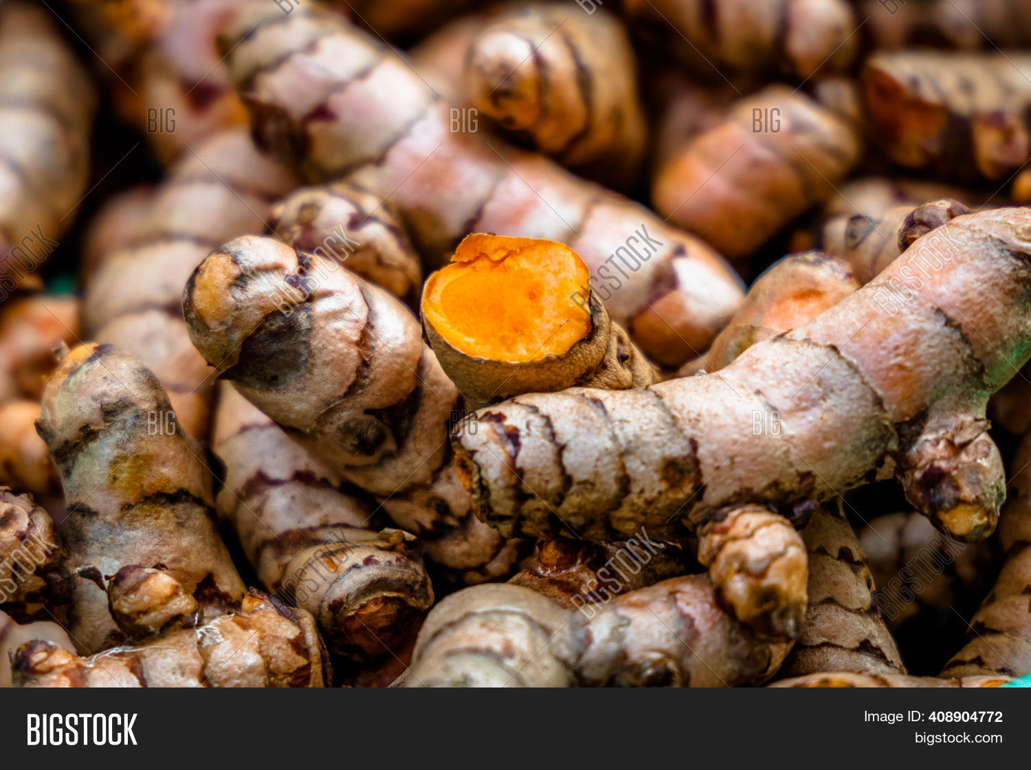 Hard Turmeric Roots Turmeric Roots Closeup Image & Photo (Free Trial) | Bigstock