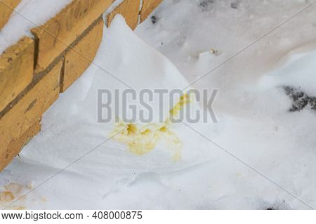 Traces Of Yellow Dog Or Human Urine In The Snow In Winter.