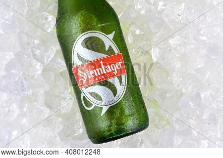 IRVINE, CA - JANUARY 11, 2015: A bottle of Steinlager Classic on a bed of ice. The lager style beer has been produced by Lion Nathan since 1957 in Newmarket, New Zealand.