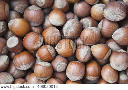 Stack Of Shelled Hazelnuts Background. Hazelnut Textured Pattern. Food Background.
